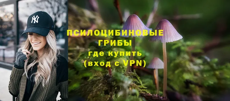 блэк спрут сайт  Батайск  Псилоцибиновые грибы Magic Shrooms 